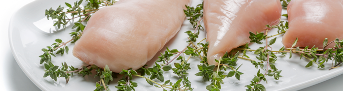 Gm Start Teaser Huhn03 1 Gm Start Teaser Huhn03 1